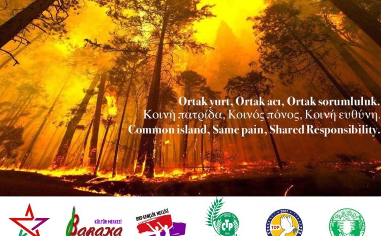  Kıbrıs gençliği, ormanların korunmasının önünü açabilir!