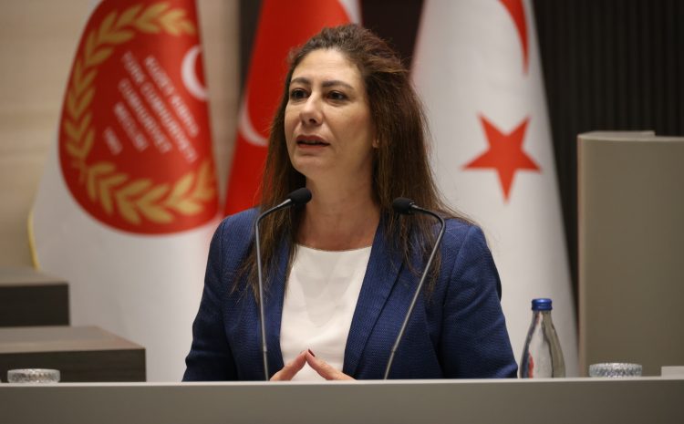  “Denk bütçe dediniz; ülkeyi 26 milyar TL açık ve 10 milyar TL faiz yüküne getirdiniz”