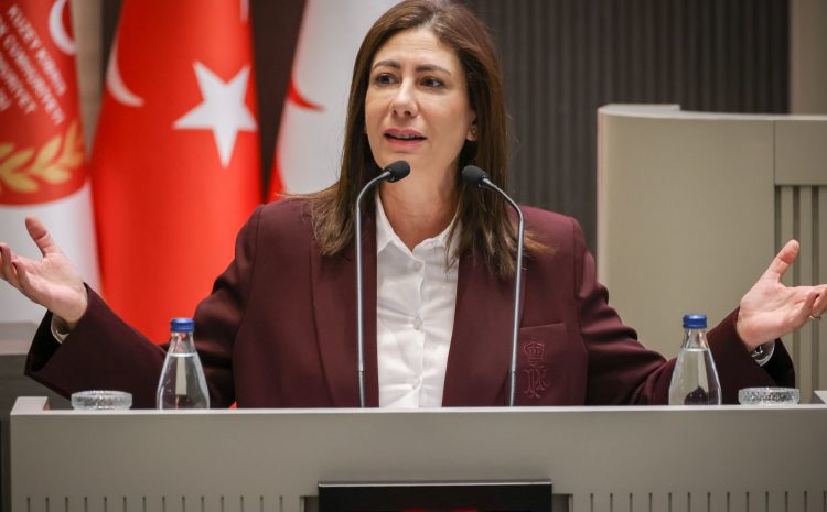  CTP Genel Başkanı İncirli, Meclis oturumunda yaptığı konuşmada, “Kararnamelerle yönetme anlayışı ülkeyi kaosa sürükledi” dedi