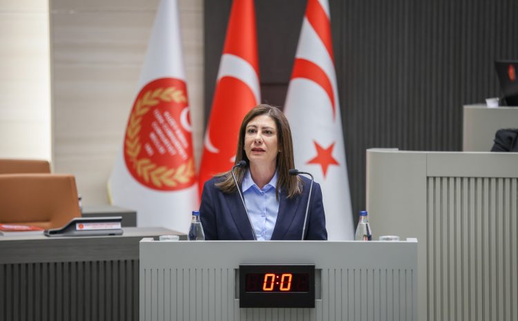  CTP Genel Başkanı Sıla Usar İncirli: Memleket büyük bir sis bulutunun içinde yönetiliyor