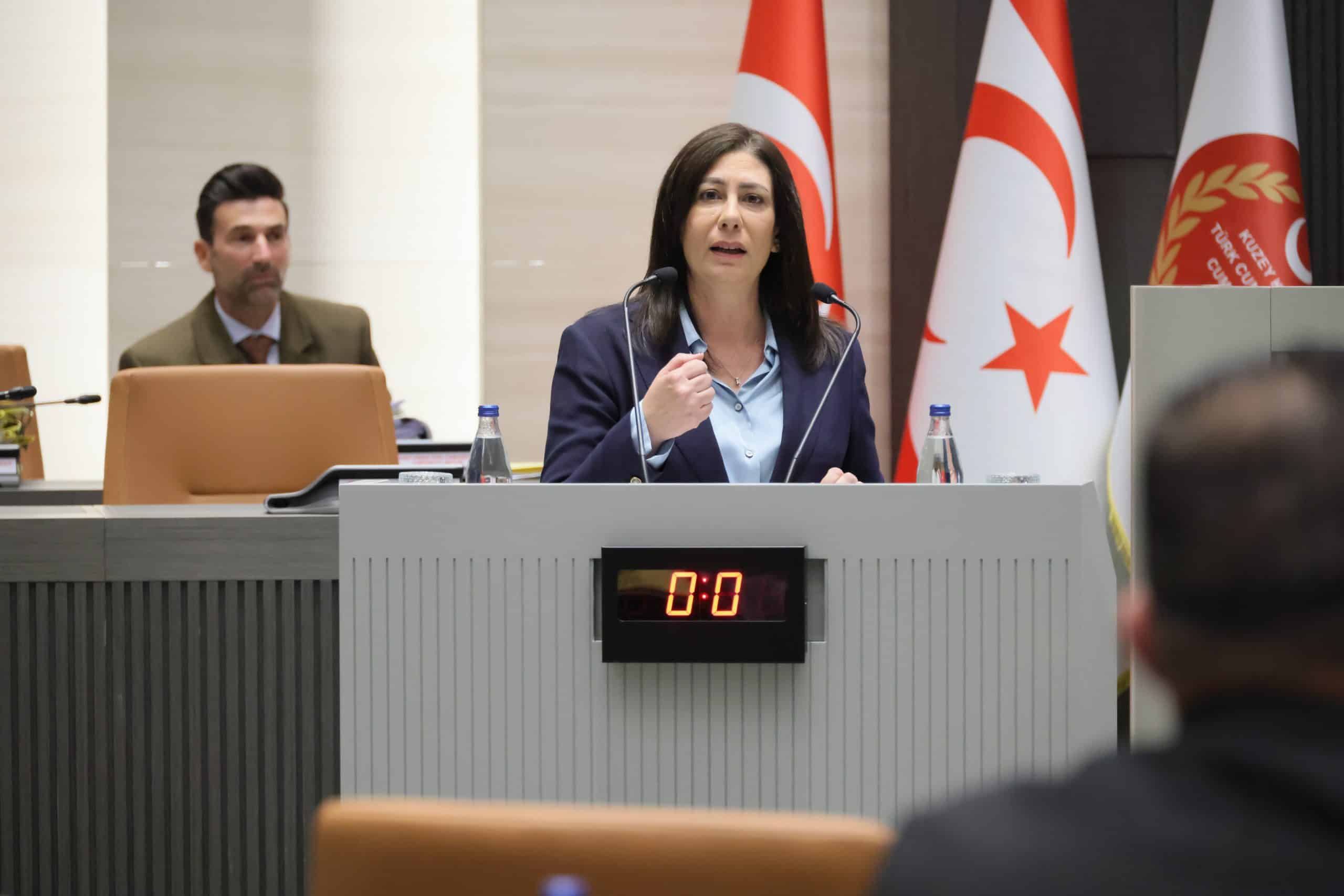 İncirli, Meclis kürsüsünden hükümete yüklendi;
